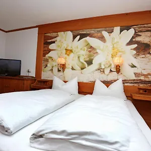 Hotel Lustiger Hirsch ***